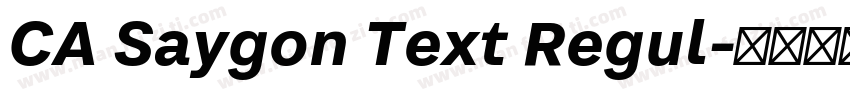 CA Saygon Text Regul字体转换